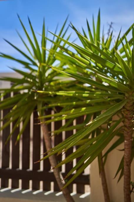 Holiday home Sotillo E-6-9 San Jose (Almeria)